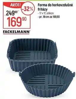 Globus Forma do horkovzdušné fritézy nabídka