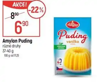 Globus Amylon Puding nabídka