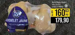 Jip Kuře Baby žluté nabídka