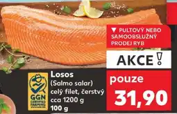 Kaufland Losos (Salmo salar) nabídka