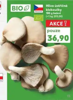 Kaufland Hlíva ústřičná kloboučky nabídka