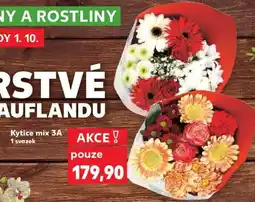 Kaufland Kytice mix 3A nabídka