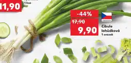 Kaufland Cibule lahůdková nabídka