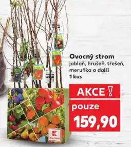 Kaufland Ovocný strom nabídka