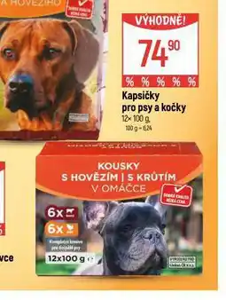 Globus Kapsičky pro kočky nabídka