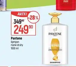 Globus Pantene šampon na vlasy nabídka