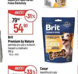 Globus Brit pamlsky pro psy nabídka