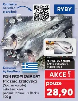 Kaufland FISH FROM EVIA BAY Pražma královská nabídka