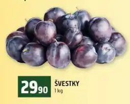 Terno Švestky nabídka