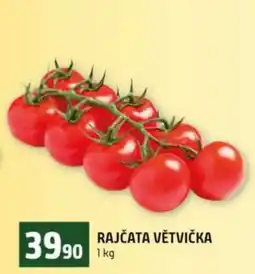 Terno RAJČATA VĚTVIČKA nabídka