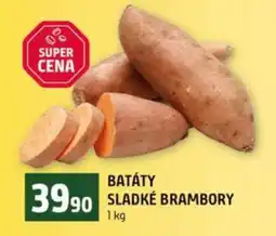 Terno BATÁTY – SLADKÉ BRAMBORY nabídka
