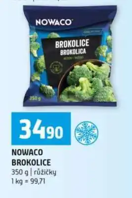 Terno NOWACO BROKOLICE nabídka