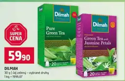 Terno Dilmah nabídka