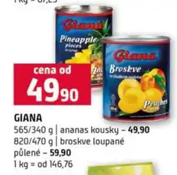 Terno Giana nabídka