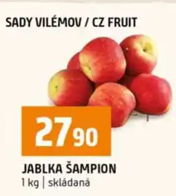 Terno Jablka Šampion nabídka