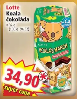 Norma Lotte Koala čokoláda nabídka