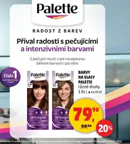 Penny Market Barvy na vlasy Palette nabídka
