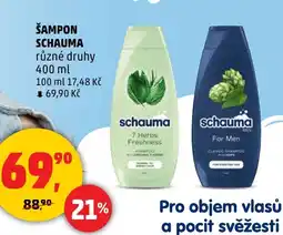 Penny Market Šampon Schauma nabídka