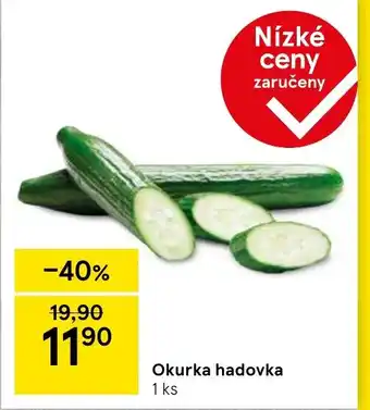 Tesco Okurka hadovka nabídka