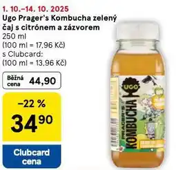 Tesco Ugo prage´s kombucha zelný čaj s citrónem a zázvorem nabídka
