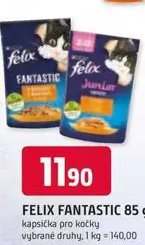 Trefa FELIX FANTASTIC 85 g nabídka