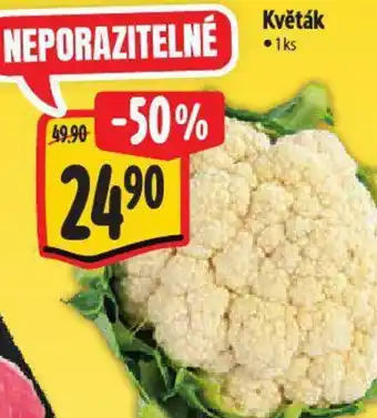 Albert Květák nabídka