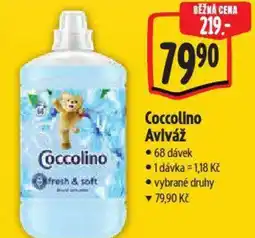 Albert Coccolino Aviváž nabídka