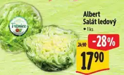 Albert Albert Salát ledový nabídka