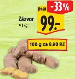 Albert Zázvor nabídka