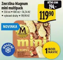 Albert Zmrzlina Magnum mini multipack nabídka