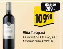 Albert Viña Tarapacá nabídka