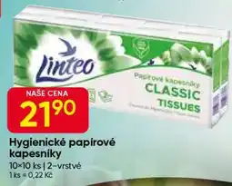 Hruška Hygienické papírové kapesníky nabídka