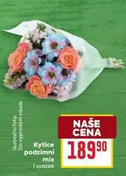 Billa Kytice podzimní mix nabídka