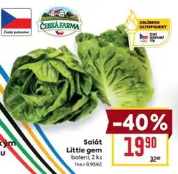 Billa Salát Little Gem nabídka