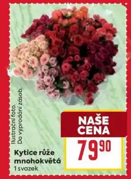 Billa Kytice růže mnohokvětá nabídka