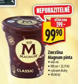 Albert Zmrzlina Magnum Pinta nabídka