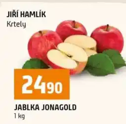 Terno Jablka Jonagold nabídka