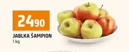 Terno Jablka Šampion nabídka