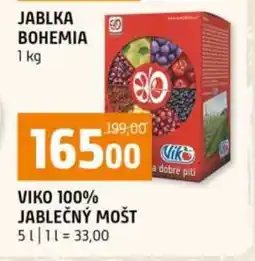 Terno VIKO 100% JABLEČNÝ MOŠT nabídka