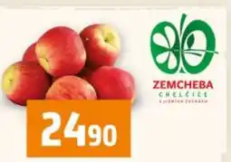 Terno ZEMCHEBA CHELČICE jablka česká nabídka