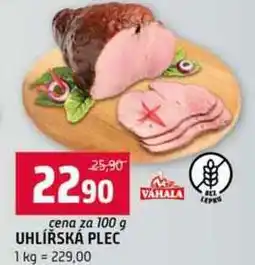 Terno UHLÍŘSKÁ PLEC 100 g nabídka