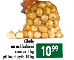 Qanto Cibule na uskladnění nabídka