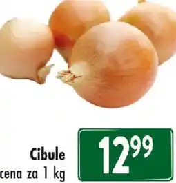 Qanto Cibule nabídka