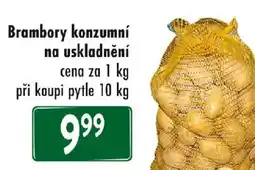 Qanto Brambory konzumní na uskladnění nabídka