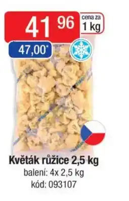 Qanto Květák růžice nabídka