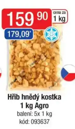 Qanto Hřib hnědý kostka Agro nabídka