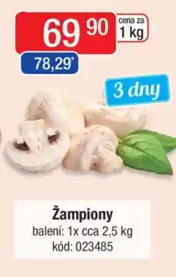 Qanto Žampiony nabídka