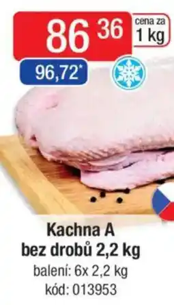 Qanto Kachna A bez drobů nabídka