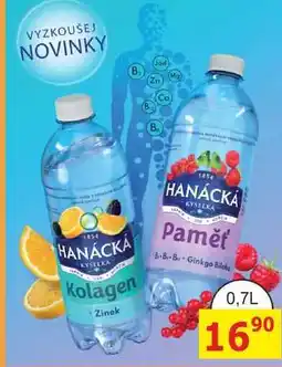 BENE Nápoje HANÁCKÁ KYSELKA Paměť B-B-B-Ginkgo Biloba 0,7L nabídka