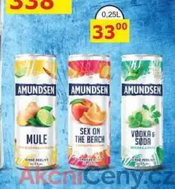 BENE Nápoje AMUNDSEN SEX ON THE BEACH 0,25l nabídka